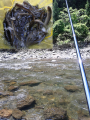 thumb_20170514-234349-03046200-1eccf4518719720c626e0766beef3636.png (68x90)