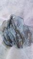 thumb_20170527-221051-78387400-6425cdd592ad973780e96c6b6afd44ea.jpg (51x90)