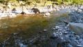 thumb_20170528-073553-82391400-c0a7a405fbaf1c1d98a4871a1ac2eeb1.jpg (120x68)