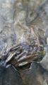 thumb_20170604-212109-36153600-b5367c29f5ac6dc5933fd8ebb38edb71.jpg (51x90)