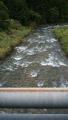 thumb_20170701-224608-99943400-d6d238417ff864ae5299955cca168ed7.jpg (51x90)