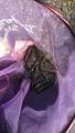 thumb_20170702-180804-53961000-276d03236d4bc55e45c88a02dcd7abbd.jpg (51x90)