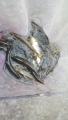 thumb_20170708-195002-75015000-5d9d8a5dd5ed8bf6d9a65a673c55b568.jpg (51x90)