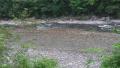 thumb_20170710-000807-57343900-7d7bde70d33a4c94586b8e6274c22875.jpg (120x68)