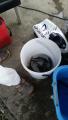thumb_20170717-221048-53618300-dab59f952cd8584b09a3efe655baf820.jpg (51x90)