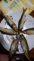 thumb_20170729-220538-54794800-ab7d8bb370fd5d58495f01bd6b366977.jpg (51x90)