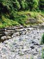 thumb_20170806-080657-19560500-3099d11ed36f030d7ce1705223f27dd1.jpg (68x90)