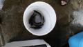 thumb_20170902-233154-28040600-6c011c185444b4d59668d2ae94483b4d.jpg (120x68)