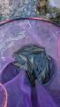 thumb_20170904-213631-38309500-4f71baef4574ce6e3da1e54791a7d133.jpg (51x90)