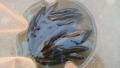thumb_20170924-171919-18055200-28322c592ce9b994c90a469179a25502.jpg (120x68)