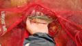 thumb_20171004-190243-52514000-75243f2842b72c955c69bd2d2430e303.jpg (120x68)