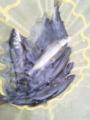thumb_20171014-233348-65304000-8c87c74e0162c00aaaa99fa93a72edf2.jpg (68x90)