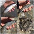thumb_20180428-175535-79806000-49031c394f1139172fac5c1490ffc577.jpg (90x90)