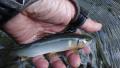 thumb_20180501-214609-45306300-3b0d15ae6dd27284be350216ae6a17ae.jpg (120x68)