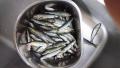 thumb_20180506-193951-01143300-a108faea7ef56312a86823a2a023179a.jpg (120x68)