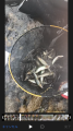thumb_20180604-012837-06121400-4f9fbe8a30b6438388c4179543da18d8.png (51x90)