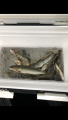 thumb_20180606-074647-11449500-c56f0aea39dba8153e59dbfc47a7579f.png (51x90)