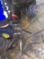 thumb_20180725-092503-06173700-7c6530a9e6f461695e977b39a4a33ccc.jpg (68x90)