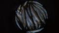 thumb_20180805-204531-25429400-157f448b00eeb7efccba5545f9868410.jpg (120x68)