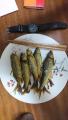 thumb_20180818-235841-33697400-b480cb74cb78534924ae9d4f6314754f.jpg (51x90)