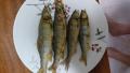 thumb_20180915-220354-20495600-1b3d5f8e346bb2729dcd9fbee21d4429.jpg (120x68)