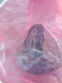 thumb_20180916-214019-30684500-149b40cbe498162d474643e7ca9780e3.jpg (68x90)