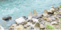 thumb_20181016-171413-40955500-a0abb4505cf496aa41f567ba431a2902.png (120x59)