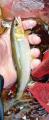 thumb_20181027-104932-34118900-5fe94258e4b1ceb9a8615bcb0d44c1cc.jpg (37x90)