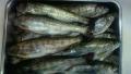 thumb_20190302-131205-89766500-977398ff6286bcb4d5b7764684f96953.jpg (120x68)