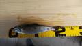 thumb_20190414-230844-30736800-4e3b348b082a27324b4744998f58ecd0.jpg (120x68)