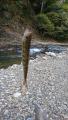 thumb_20190421-001349-66565000-5426db5b926552954f9e53131cc5c707.jpg (51x90)