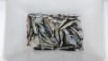 thumb_20190506-014950-41541900-1bbdacad9e0b443fcfef5e067ed7c51f.jpg (120x68)