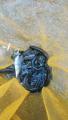 thumb_20190518-134313-45487300-a22031badce58592dcabc976c6dff3c8.jpg (51x90)