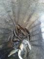 thumb_20190608-203835-90968200-7ea4ae3bce09a1e043538362648e3827.jpg (68x90)
