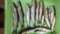 thumb_20190617-211613-57838700-64fa7d3e521bbebae1dfdfa8dd0a8865.jpg (120x68)