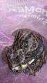 thumb_20190623-190228-51577200-a7160398c01978a0a19a67db7cccb799.jpg (51x90)