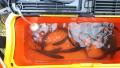 thumb_20190701-174941-03434100-baeaaf854490478e8d7410cbc68ba59a.jpg (120x68)