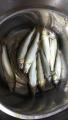 thumb_20190802-233149-73641900-550b77842051ad71957c958688b25ee6.jpg (51x90)
