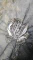 thumb_20190803-214952-47805100-0482909a19f4dd4bf25b38e74671e250.jpg (51x90)