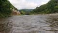 thumb_20190804-205721-46060800-b76a01267f15a898721c7d19e7c32696.jpg (120x68)