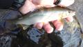 thumb_20190805-201818-45819800-aa445c39d84ce94e748be5d7f4be79b3.jpg (120x68)