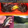 thumb_20190901-204958-57857500-9bee1b9332e1ca63f7d5c79bb72b087b.jpg (90x90)