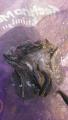 thumb_20190908-205936-87346600-8566dd53b464c24fb8d164fe3a3efca7.jpg (51x90)