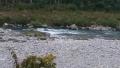 thumb_20190912-090835-19692600-1ee03f9d826ab85c20c44bbcea960a1a.jpg (120x68)