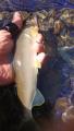 thumb_20190912-225953-30152300-8a19d7284540e7556b44bcfb5b716f25.jpg (51x90)