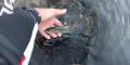 thumb_20190916-212535-23098500-ba92b82dc661ee390042dc7e21652793.jpg (120x60)