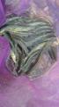 thumb_20190921-200154-04152400-8140701132be40c1b70401357618ffdb.jpg (51x90)