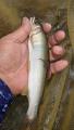 thumb_20190923-013242-77362500-49d689668319d57d3d2bebcdc25db4ed.jpg (51x90)