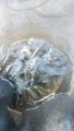 thumb_20191005-170928-00778500-3d5fe10310def88fea40f51eebce1108.jpg (51x90)