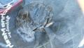 thumb_20191017-200115-76102700-23630f586f5906105a1b525c499cbd2e.jpg (120x68)
